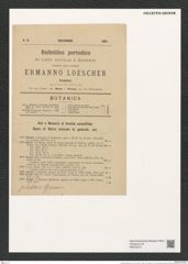 Triceratium pileatum Grun. (de-Toni-Nr.: Genus 140, Species 3751) Zeichnungen Sammlung Grunow (NHMW-BOT-W0376273)